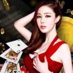 Profile picture of Idn Poker Play