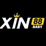 Profile picture of xin88baby