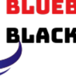 Profile picture of Blueberryblackout com