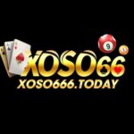 Profile picture of Xoso66 today