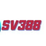 Profile picture of SV388Banca