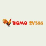 Profile picture of Sv388 Thomo