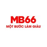 Profile picture of MB66