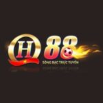 Profile picture of qh88mobi3