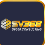 Profile picture of sv368consulting