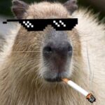 natemaynard