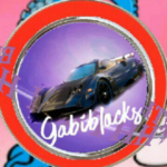 Profile picture of Gabiblocks