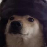 doggo_snakker